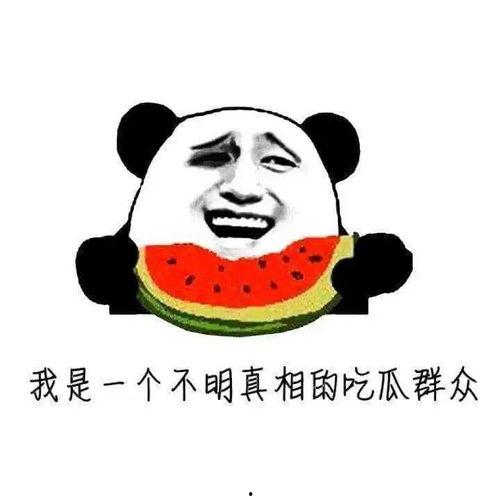 做一个吃瓜群众的说说,吃瓜群众视角下的娱乐圈风云录