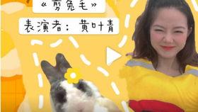 娱乐吃瓜丫狐狸,揭秘丫狐狸背后的故事