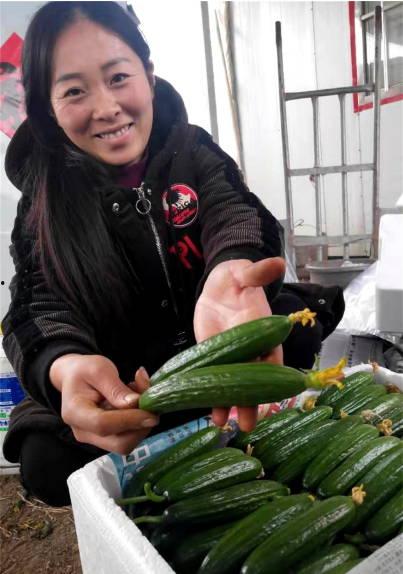 娱乐吃瓜酱重庆山东,揭秘重庆与山东的美食文化碰撞